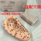 【耳穴模型 按摩耳朵 穴位經絡模型 中醫耳朵模型 按摩教學練習 耳穴貼 按摩工具 經絡穴位 耳朵穴位模型 中醫教學 耳穴