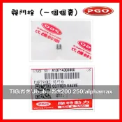 PGO摩特動力 TIG 彪虎200 250 彪虎125 彪虎150 250 彪虎 閥門栓 氣缸 汽缸頭 TIGRA150