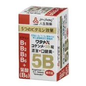 人生製藥 渡邊口健美5B糖衣錠 | 120粒 葉酸 - 康馨藥局 