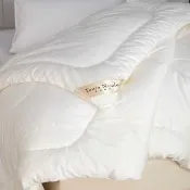 【Tonia Nicole 東妮寢飾】英威達抗菌七孔四季被(單人)