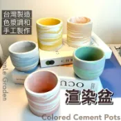 【水泥盆】 渲染水泥盆 花盆 盆栽 清水模 多肉 觀葉 小品 辦公室擺設水泥花盆 圓柱型 圓球 圓弧【盞樂空間】