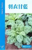 種子王國 羽衣甘藍(無頭甘藍) 【蔬果類種子】興農牌中包裝 每包約1公克