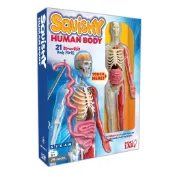 Squishy Human Body (人體模型)(盒裝)/SmartLab Toys【三民網路書店】