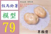【台灣現貨免等】仿真蔬菜假水果裝飾品幼教生姜蓮藕洋蔥紅番薯地瓜白胡蘿蔔模型 馬鈴薯模型 假土豆模型
