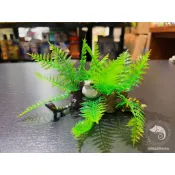 蛋叔叔-石頭草/栗蕨/5411122/仿真植物/草叢/樹蛙/雨林景/守宮/水草缸/園藝/造景/角蛙/蠑螈/蕨類/半水景