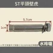 【水玲瓏】ST平頭壁虎 5/16“*2 1/4“ 白鐵平頭壁虎 內牙壁虎 擊撐式 牆壁 水泥牆 內牙式膨脹螺絲 電爐配件