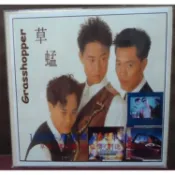 草蜢.譚詠麟.許冠傑.劉德華/1993年廣東舞曲大串燒15首/DJ版黑膠唱片