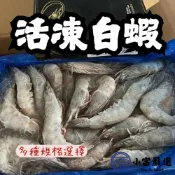 小富嚴選 【1200免運】嚴選精選高品質白蝦 鮮甜美味 活凍白蝦 (重量750g~850g/多種規格大小) 火鍋海鮮 草蝦 天使紅蝦 烤肉食材 火鍋食材 生白蝦