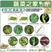 (店+)【蔬菜之家】豆類種子系列各包裝數量詳見內文及圖片敏豆 四季豆 豌豆 圓粉豆 豇豆 毛豆 蠶豆 皇帝豆 大莢豆