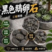 【大欣植栽行】珍珠黑卵石  黑色 黑鵝卵石 石頭 石 天然石 海石 地舖石 黑卵石 庭院舖石 水族石頭 景觀石頭 造景