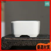 陶瓷花盆 多肉花盆 紫砂盆 盆栽容器 小品盆栽 菖蒲盆 長方形 粗陶盆 桌面擺飾 古風 盆器 花器 園藝 裝飾 擺件