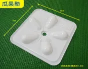 【綠海生活】附發票 瓜果墊(13*13cm/五爪) 西瓜墊 哈蜜瓜墊  瓜果保護墊- 栗子南瓜 小玉西瓜 南瓜