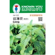 種子王國 荊芥種子 貓薄荷【香藥草種子】 農友牌 小包裝種子 約200粒 彩色原包裝