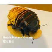 寇比 蟑螂 馬島蟑螂 蟑螂蛋糕 造型蛋糕  生日蛋糕  蛋糕 馬達加斯加蟑螂