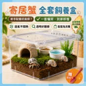 『好物推薦 贈餵食勺』寄居蟹飼養箱 小型豪華別墅 螃蟹相守蟹 裝飾造景 專用生態龜缸爬臺 養烏龜套裝 螃蟹沙蟹養殖盒
