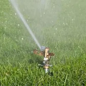 【灑水達人】4分塑膠鳥型噴頭灑水器6入(綠)
