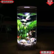 好物推薦🚚造景瓶 玻璃瓶 生態瓶 微景觀水族箱 造景鬥魚缸 辦公桌麵擺件 客廳玻璃魚缸 生態球微景觀 Q1