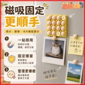 台灣隔日達 TK同款 雞蛋託冰箱貼 創意家用迷你雞蛋殼磁吸貼 迷你雞蛋冰箱貼 雞蛋冰箱貼 照片磁吸貼 拍立得磁吸貼
