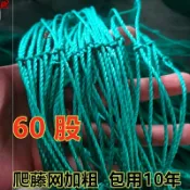 協貿國際日用品生活12館 植物爬藤網專用網瓜棚網黃瓜攀藤網豆角爬藤網農用種百香果爬藤網