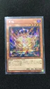QCDB-JP016　	荒魂　	靈魂怪獸　	等級4　	闇　	惡魔族　	半鑽　	800　	1800　	16889337