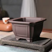 紫砂花盆 正方形 盆景盆 陶瓷盆器 多肉植物 盆栽 蘭花盆 小品盆栽 桌面擺飾 居家 園藝 粗陶盆 透氣 四方盆 日系