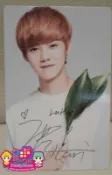 Nature Republic [ EXO 寫真 小卡 (護唇膏款) ] 鹿晗 現貨  ＜韓格舖＞ LUHAN 官方週邊 NR 自然樂園 化妝品  EXOK EXOM