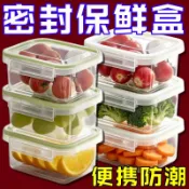 【可開收據】便攜式食品保鮮盒 冰箱水果蔬菜收納盒 大容量冷凍密封防潮整理盒 HDFJ