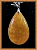 [阿輝小舖]-精選頂級天然[ 冰種-菊花玉, 珊瑚玉 ]造型鍊墜, 項鍊!!!(編號:D0296-9)