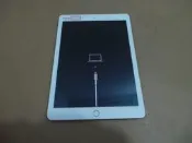 IPAD 5 A1823 WIFI+4G 128G 故障機 零件機