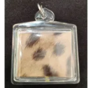 【現貨】泰國佛牌 龍婆本 伏虎羅漢 2560 虎皮符管 三達固 Takrut 冠蘭 正牌 招財 避邪 權威 擋災 轉運