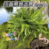 【野境】仿真蕨類造景 爬蟲造景 仿真樹葉 樹葉造景 仿真樹葉 爬蟲 守宮 烏龜