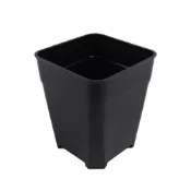 (店+)【蔬菜之家】台灣製 透氣加高型四方盆 3吋 4吋 5吋 6吋 多肉植物花盆 仙人掌 萬象盆 塊根 觀葉 磨砂質感