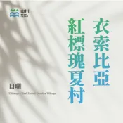 衣索比亞 紅標瑰夏村  日曬 莊園咖啡 咖啡生豆 熟豆  ▁山川生豆