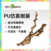 ★爬蟲新樂園★[台灣現貨]PU 仿真樹藤 適合爬寵攀爬 新材質 可任意塑形 可水洗 不發霉 樹棲爬蟲 自然外觀 造景