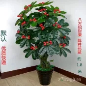 免運  造景  仿真 裝飾  仿真髮財樹滴水觀音 金錢樹假花客廳落地盆景綠植盆栽 RZJD