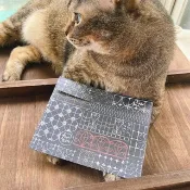 散策信封組 / 12枚入 白牛皮紙