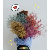 🎄花森林🎄韓式卡斯比亞 乾燥花 畢業花束 乾燥花束 婚禮小物 永生花 搭配 花禮 花盒 情人節禮品 抖音 聖誕節禮品