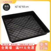 臺灣出貨 【園藝工具】加厚 芽菜育苗盤 穴盤 芽苗菜托盤 多肉育苗盆 發豆芽箱種植盒 瑪卡盤