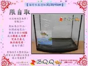 [B.Q.Q小舖]限自取【海灣水晶邊缸30或39或45cm】魚缸 玻璃缸 水晶缸 海灣缸