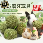 磨牙草球 提摩西草球 兔子磨牙 兔子零食 磨牙草餅 天竺鼠 龍貓 草餅 牧草棒 磨牙草餅 兔子磨牙QJ3059