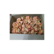 (店+)玉華香舖 九轉 往生蓮花 無座 蓮花 小蓮花 108朵蓮花 九轉往生蓮花  紙紮 往生用品 蓮花頭