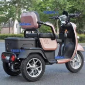 小龜王電動三輪車60V72V成人男女老年人電瓶車中老年爬坡廠家直銷（廠商直發咨詢運）