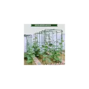 (店+)爬藤架 葡萄黃瓜豆角架 種菜花支架 庭院園藝花架 花卉植物支撐桿 西紅柿架