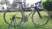 MIT All new普赫馬PERFORMER BRAVE Bike平把公路車