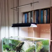 免運【不銹鋼魚缸燈吊裝支架】不銹鋼實心單臂燈架魚缸草缸吊架Z形支架S形吊架吊燈架子ADA款