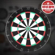 【臺灣出貨】紙制仿瓊麻飛鏢套裝專業比賽訓練印鐵字飛鏢靶飛鏢盤針休閒勇榀