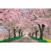 【拼圖貓】HC - 風景系列 -愛戀櫻花 台灣製 1000片 夜光拼圖 1000-109D