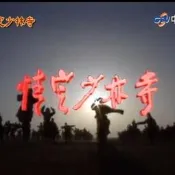  膏青優盤U盤情定少林寺臺灣中視電視劇陳法蓉主演國語中字優盤發