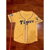 日本職棒 阪神虎 2015 虎之夏 應援球衣 M (罩衫 日職 NPB 棒球 壘球 棒壘 中信兄弟)