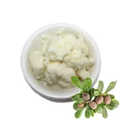 【順億化工】美國 未精製乳油木果脂 罐裝 袋裝 100g 500g 1KG (不會速Ｔ) 初榨乳油木果脂【BBB 02】